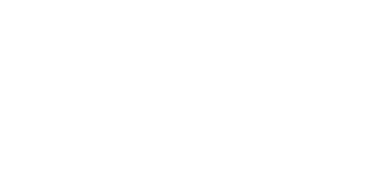 AIV — Accademia Italiana Videogiochi AIV — Accademia Italiana Videogiochi