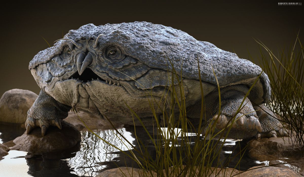 Cancericatus Fluvialitis — an imaginary river crustacean, creature design by Roberto Digiglio — final render