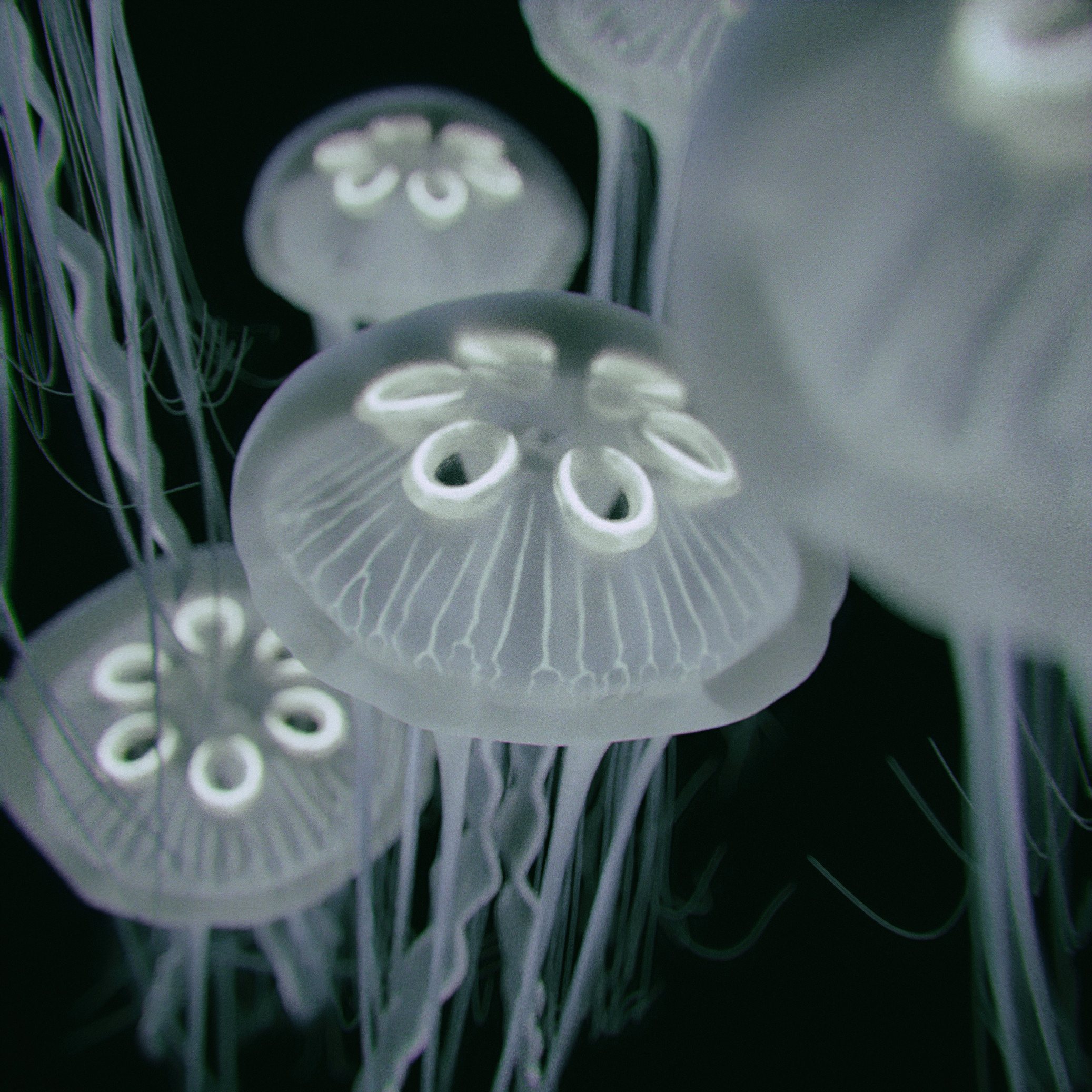 Ghost of the Sea — image 8: an invented bioluminescent jellyfish, creature design by Roberto Digiglio