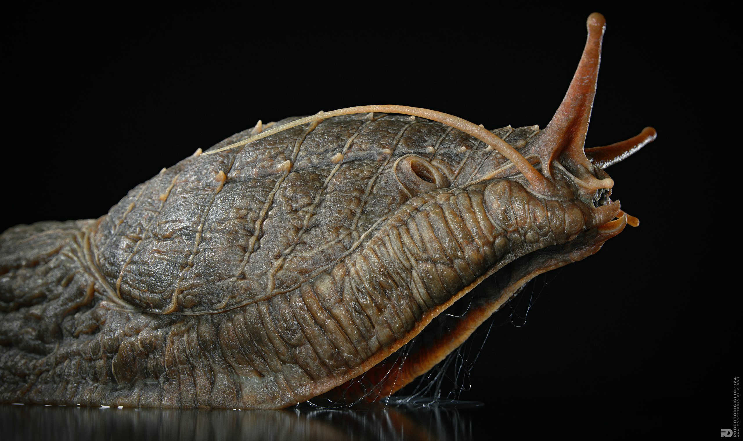 Limax Magnodentis — image 3: a carnivorous dog-sized slug with an armored mantle, creature design by Roberto Digiglio