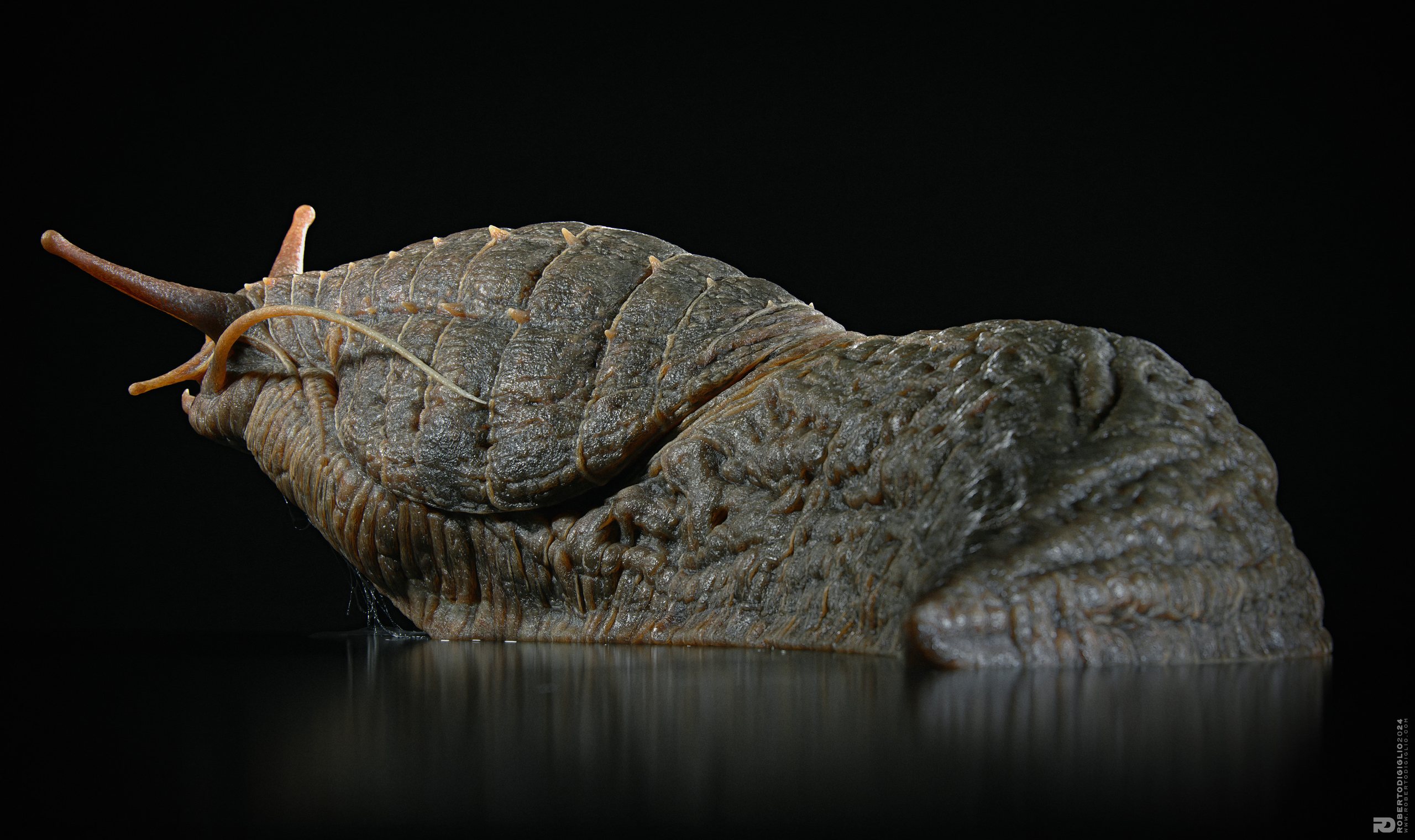 Limax Magnodentis — image 8: a carnivorous dog-sized slug with an armored mantle, creature design by Roberto Digiglio