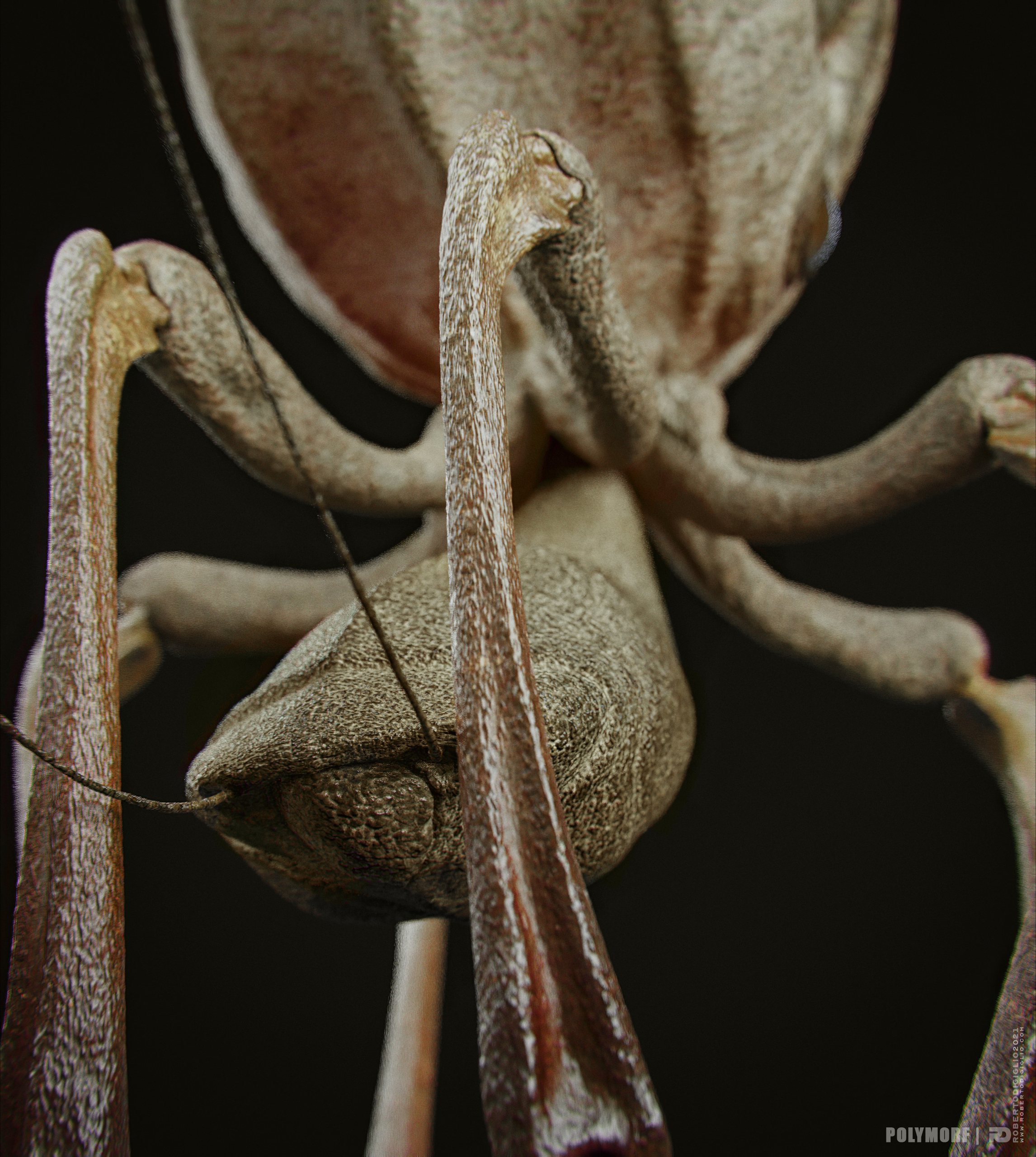 Symbiosis — Two-Body Symbiont System — image 3: a two-body symbiont creature for the SYMBIOSIS VR performance, creature design by Roberto Digiglio