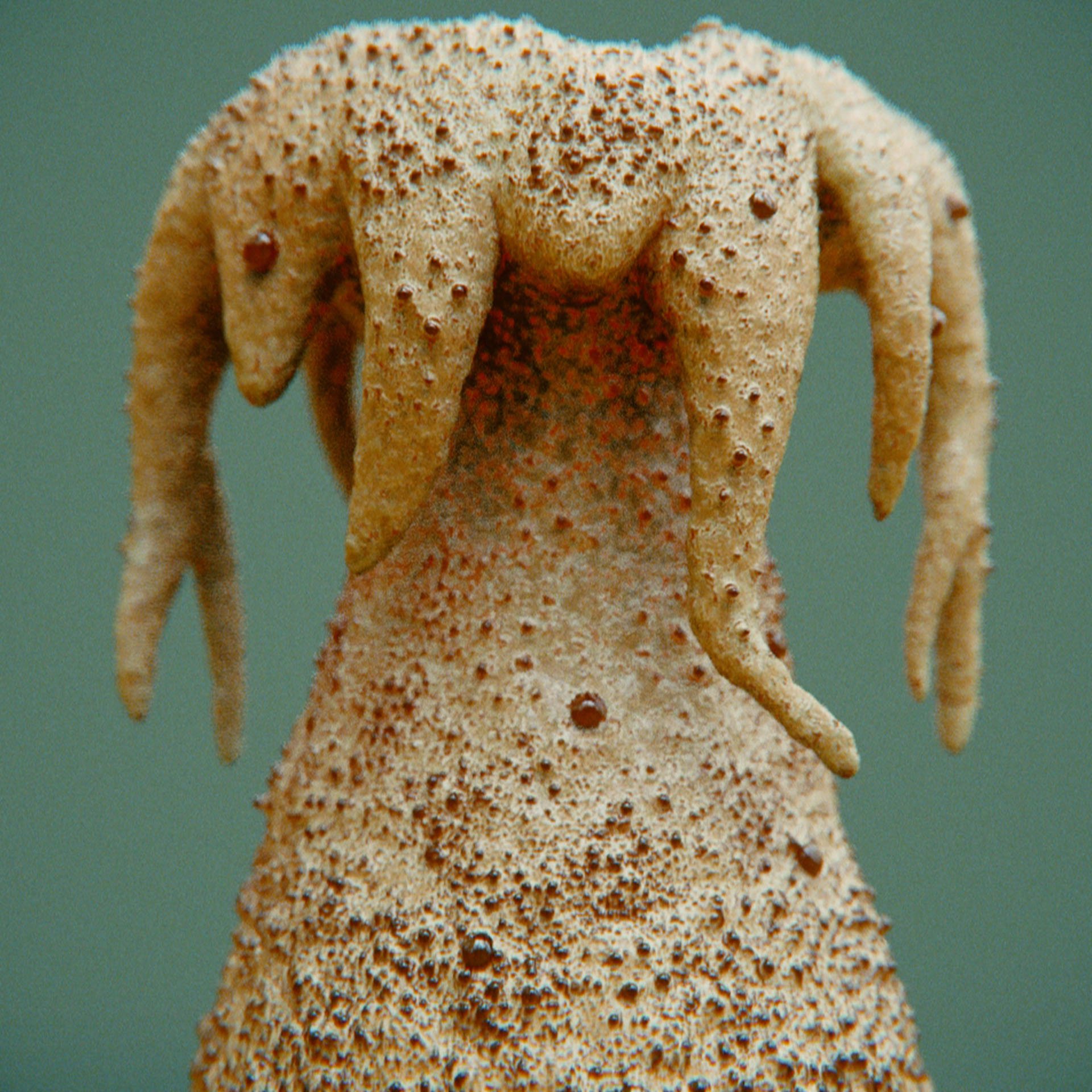 SYMBIOSIS — Flora — tree 3, variation 1: the world of the SYMBIOSIS VR performance: creatures, characters and flora, character design by Roberto Digiglio