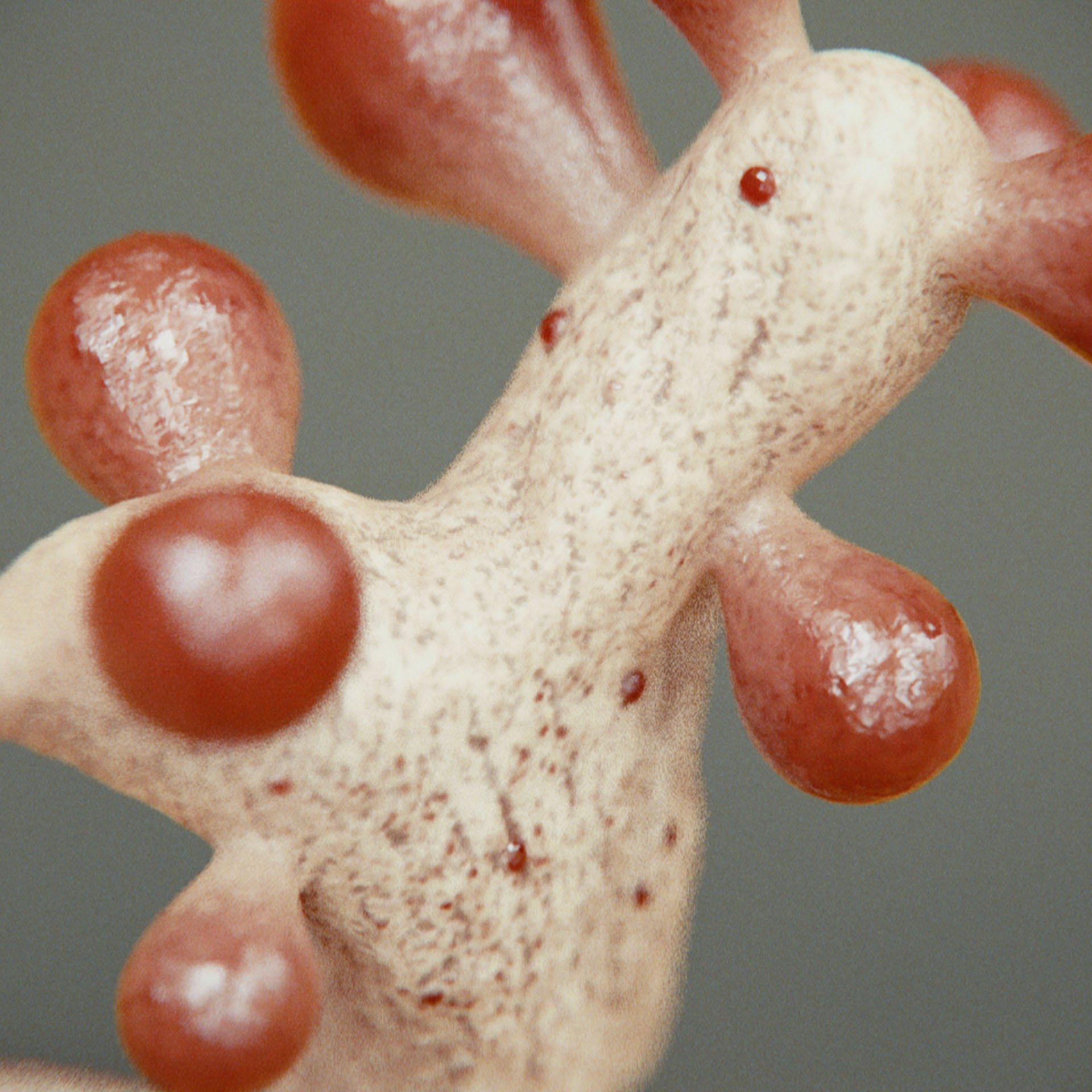 SYMBIOSIS — Flora — shrub 1, variation 1: the world of the SYMBIOSIS VR performance: creatures, characters and flora, character design by Roberto Digiglio