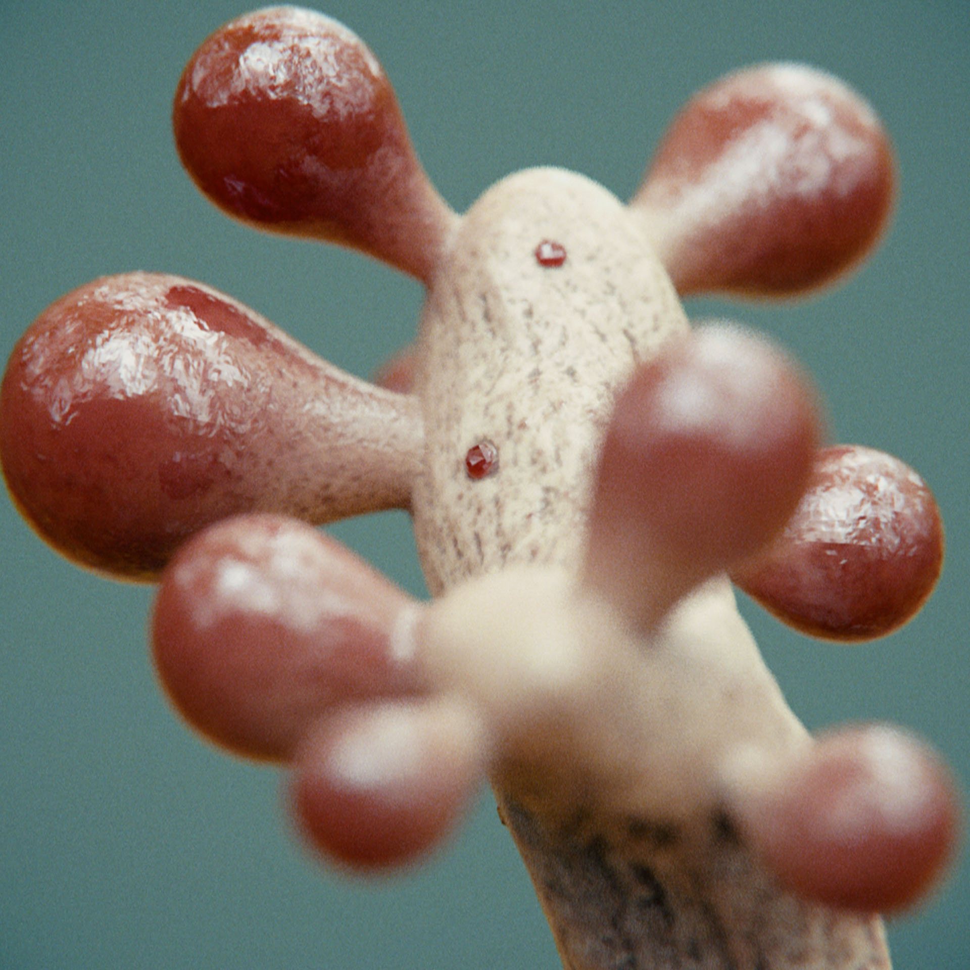 SYMBIOSIS — Flora — shrub 1, variation 3: the world of the SYMBIOSIS VR performance: creatures, characters and flora, character design by Roberto Digiglio