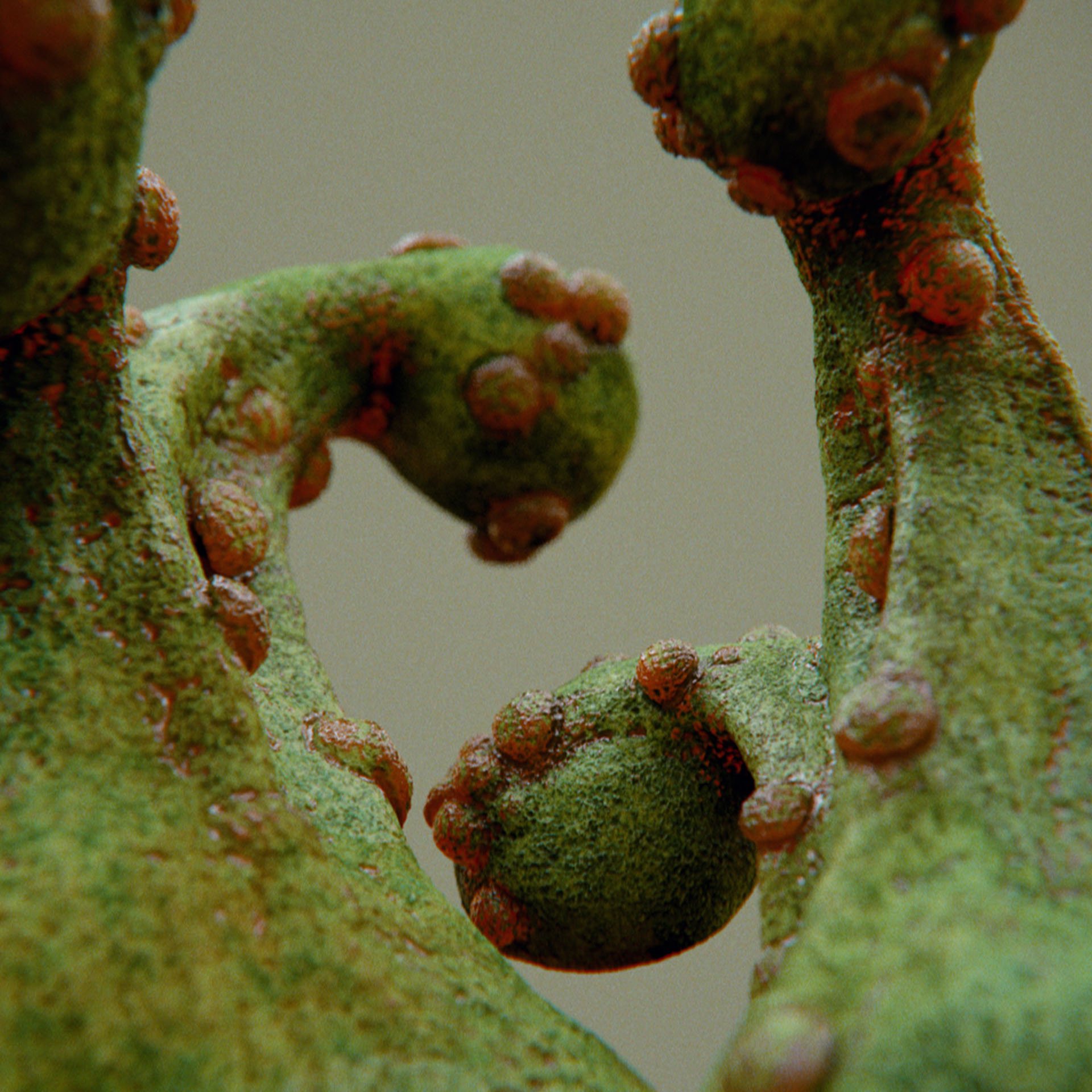 SYMBIOSIS — Flora — shrub 3, variation 3: the world of the SYMBIOSIS VR performance: creatures, characters and flora, character design by Roberto Digiglio
