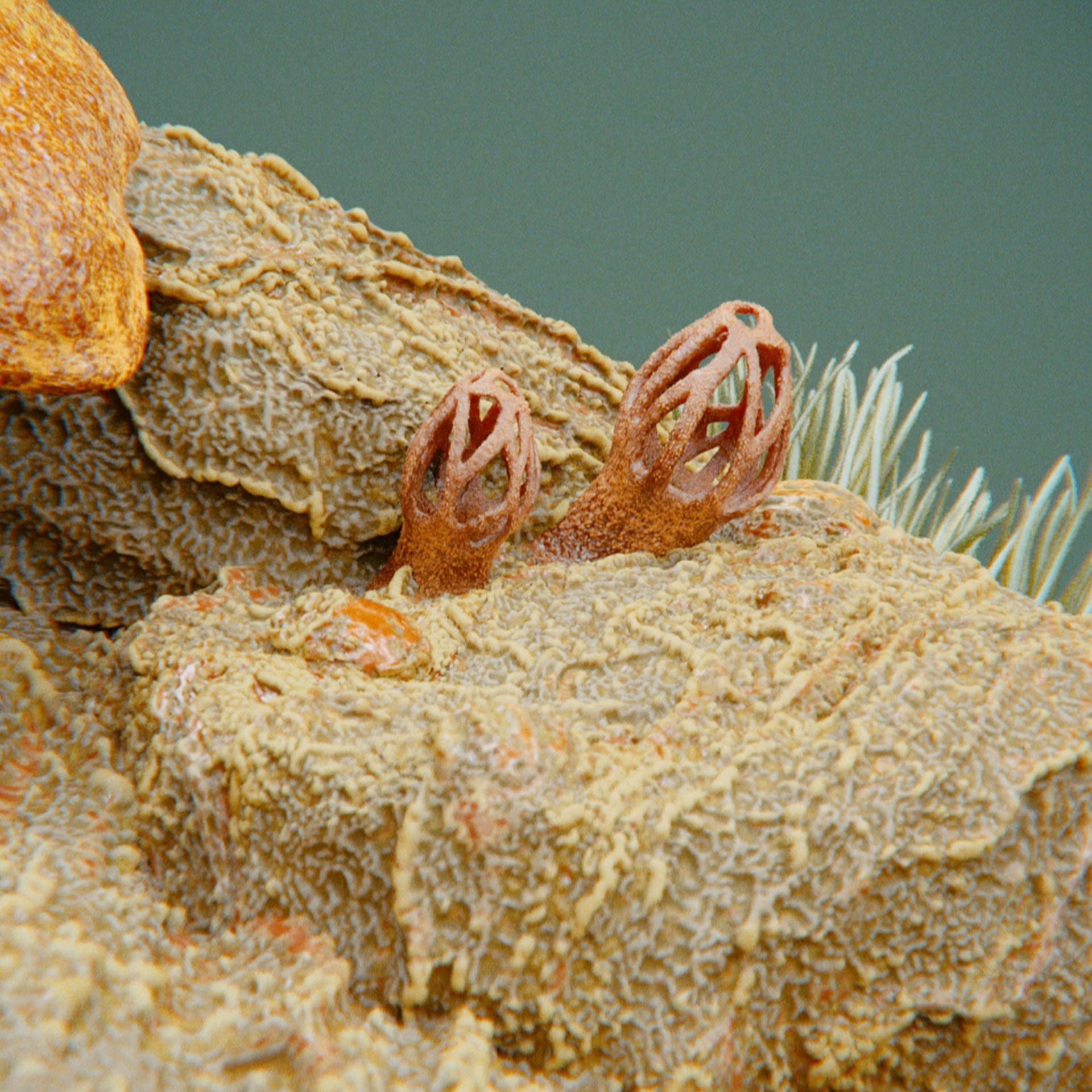 SYMBIOSIS — Flora — rock 2, variation 1: the world of the SYMBIOSIS VR performance: creatures, characters and flora, character design by Roberto Digiglio