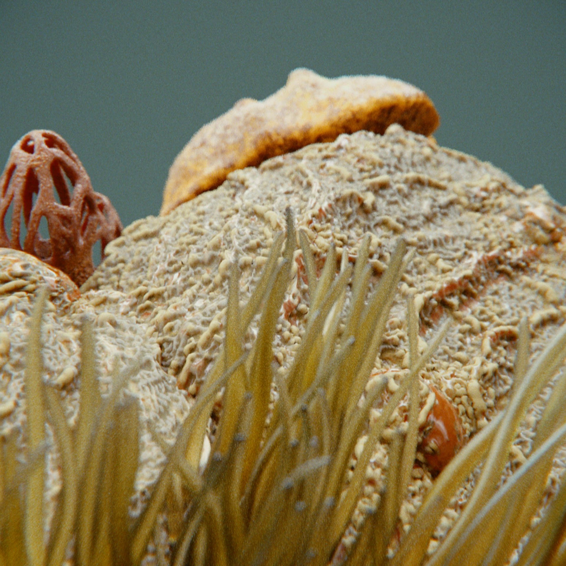 SYMBIOSIS — Flora — rock 2, variation 2: the world of the SYMBIOSIS VR performance: creatures, characters and flora, character design by Roberto Digiglio