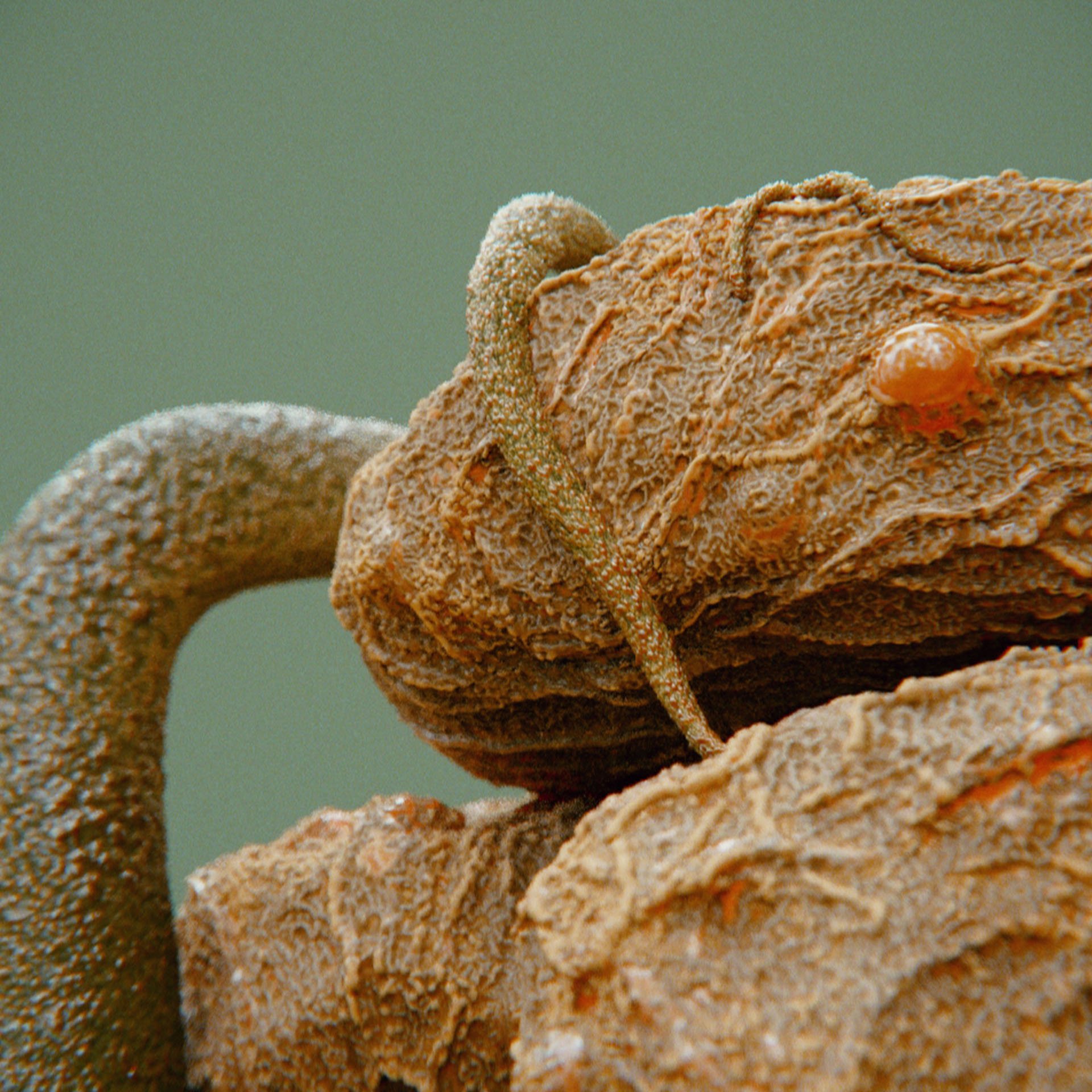 SYMBIOSIS — Flora — rock 3, variation 3: the world of the SYMBIOSIS VR performance: creatures, characters and flora, character design by Roberto Digiglio
