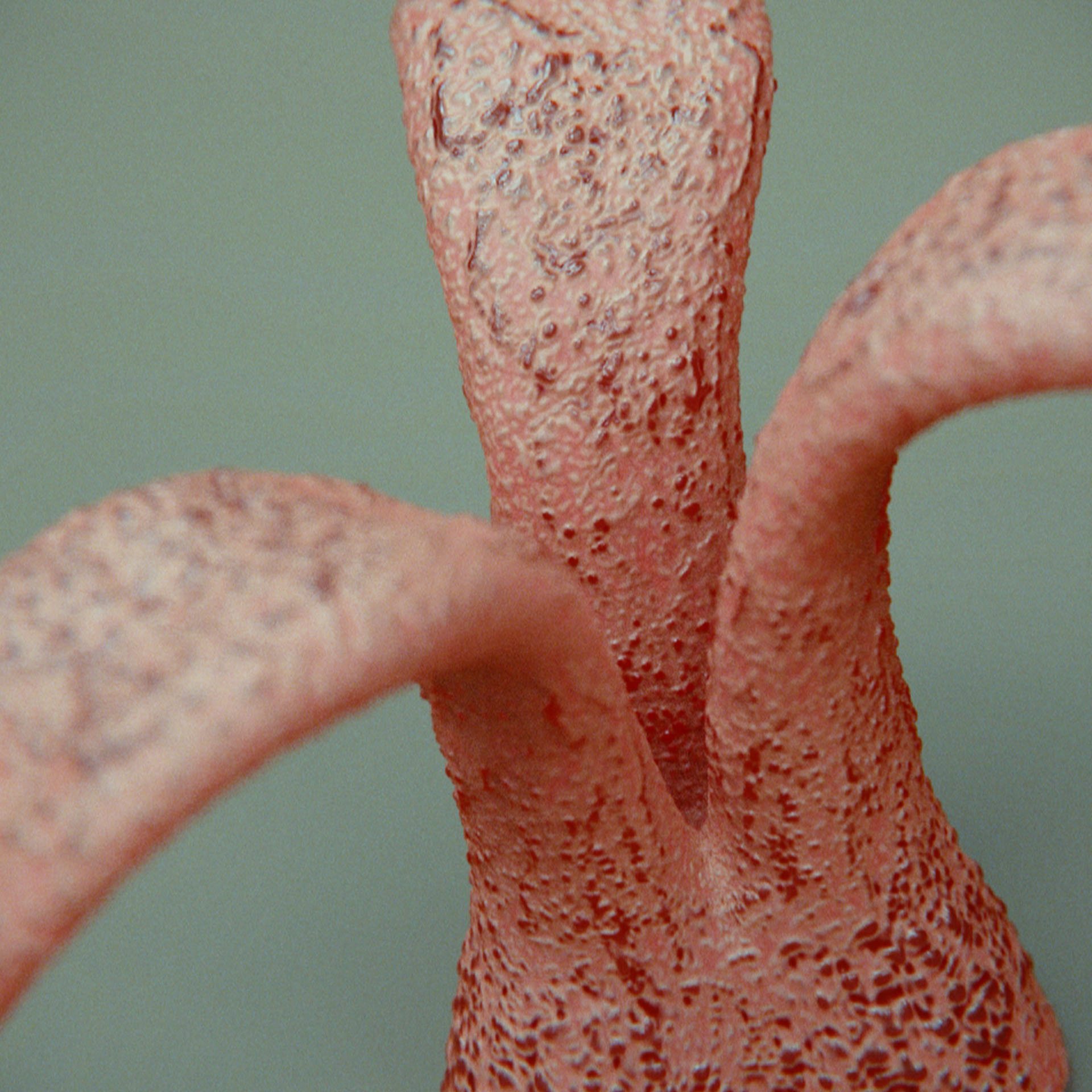 SYMBIOSIS — Flora — mushroom 1, variation 2: the world of the SYMBIOSIS VR performance: creatures, characters and flora, character design by Roberto Digiglio