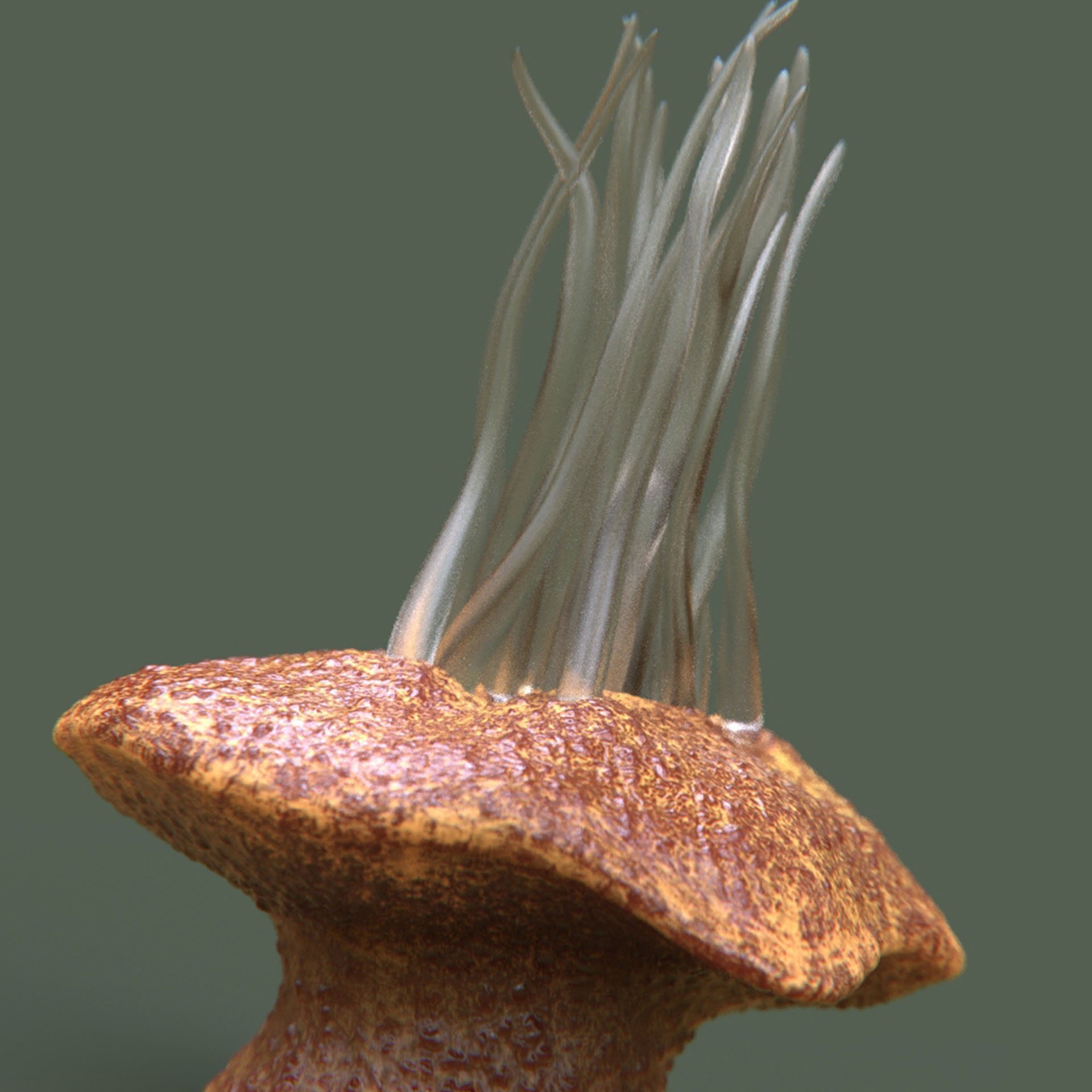 SYMBIOSIS — Flora — flower 2, variation 1: the world of the SYMBIOSIS VR performance: creatures, characters and flora, character design by Roberto Digiglio