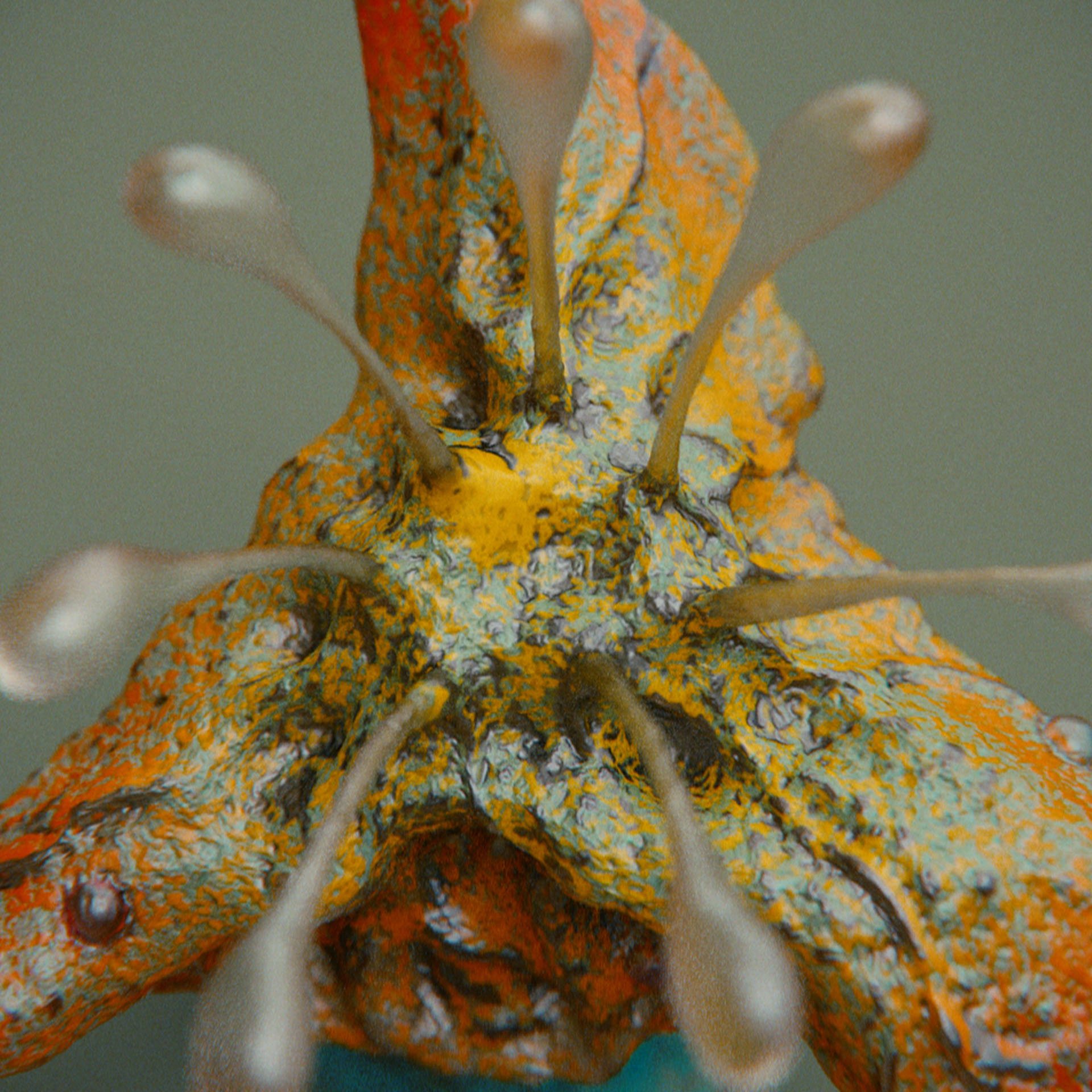 SYMBIOSIS — Flora — flower 3, variation 3: the world of the SYMBIOSIS VR performance: creatures, characters and flora, character design by Roberto Digiglio
