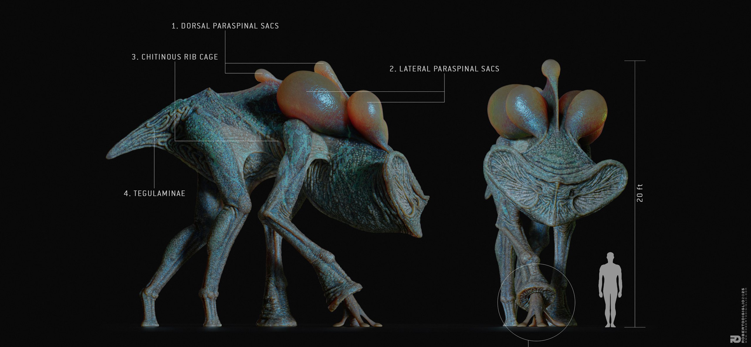 Terragaster Lithovore — Anatomy callouts 8: a large alien organism adapted to extreme gravity, creature design by Roberto Digiglio