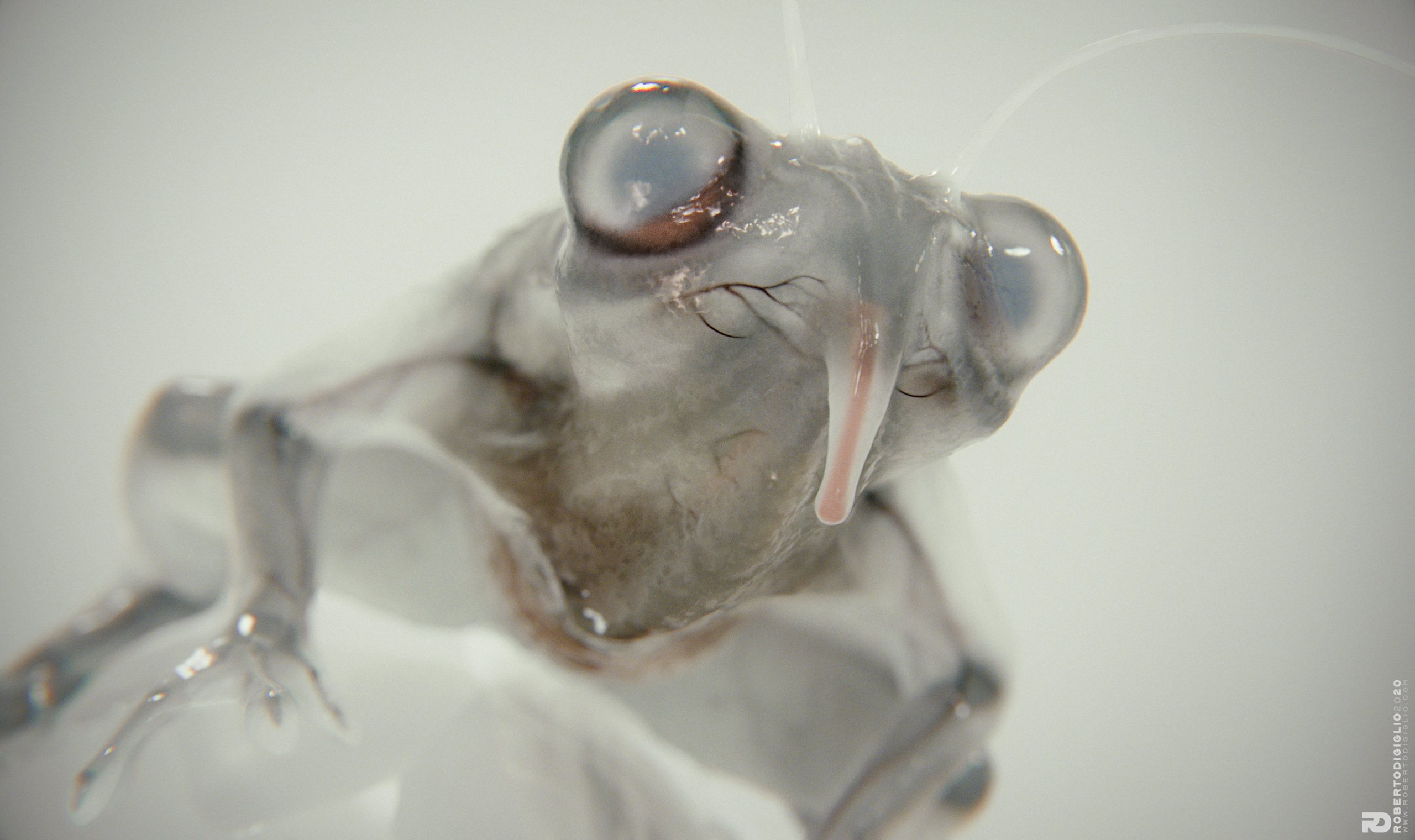 Triturus Profundis — image 4: a transparent-skinned cross between a frog and a newt, creature design by Roberto Digiglio